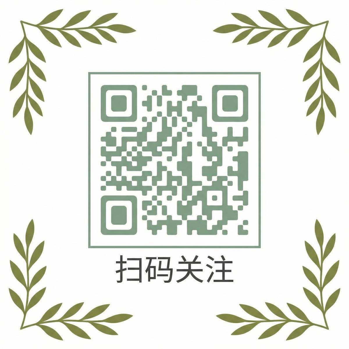 捷克街头扫码关注